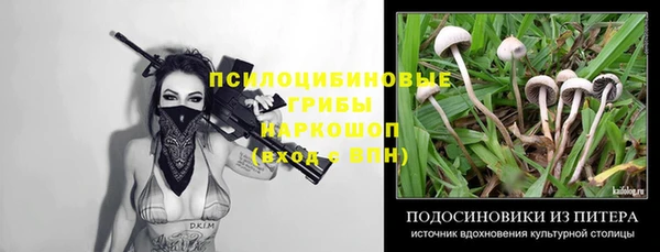 бошки Чита
