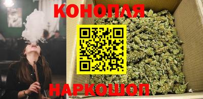 мяу мяу мука Абакан