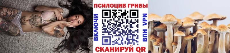 Псилоцибиновые грибы Psilocybine cubensis  где найти наркотики  Ачинск 