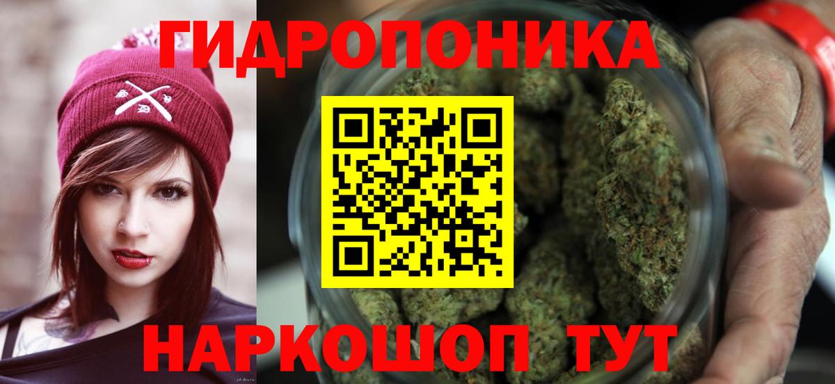 Бошки Шишки планчик  Ачинск  МАРИХУАНА SATIVA & INDICA  Шишки марихуана план 